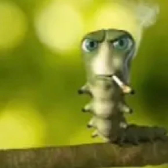 brodycorn